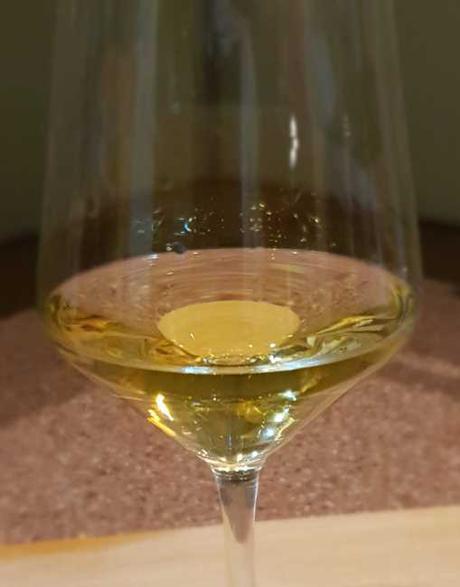 Weingut Salzl – Verkostung: New Style Chardonnay