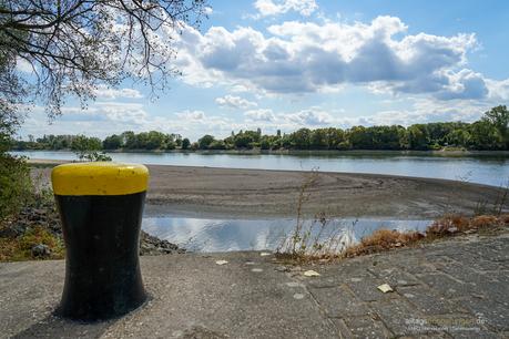 Niedrigwasser am Rhein 2018