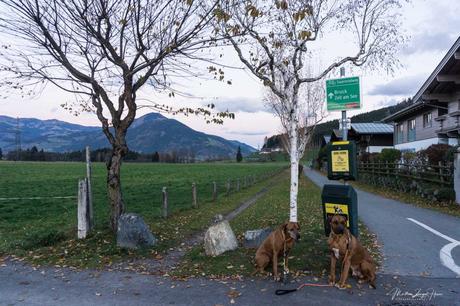 Hundumzufrieden im Alpenhaus Kaprun