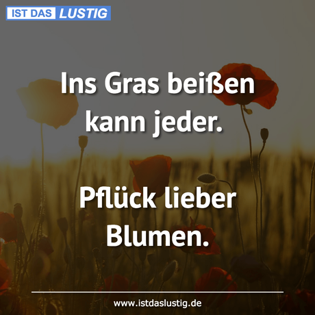 Lustiger BilderSpruch - Ins Gras beißen kann jeder.  Pﬂück lieber Blumen.