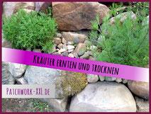 kräuter ernten trocknen garten selbstversorger