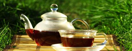 Stoffwechsel anregen mit Tee – leichter abnehmen und Gewicht halten
