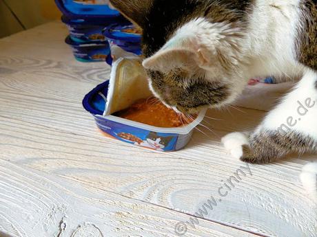 Püpschen liebt Felix Sossenschmaus und darf es dennoch nicht fressen #Katzen #Futter #Purina