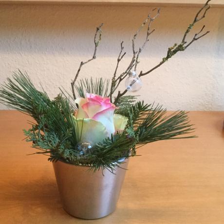 Friday-Flowerday – oder – Eine weihnachtliche Rose