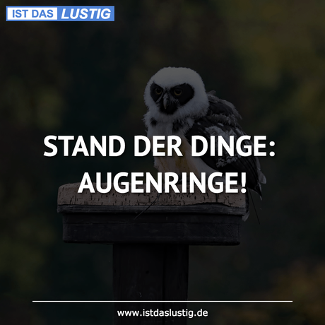 Lustiger BilderSpruch - STAND DER DINGE: AUGENRINGE!