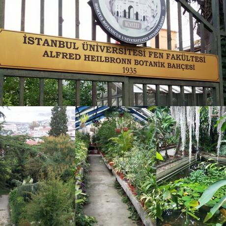 Botanischer Garten Istanbul