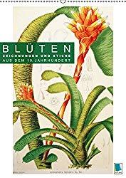 Noch mehr botanische Kalender für 2019 und die Gewinnerinnen!