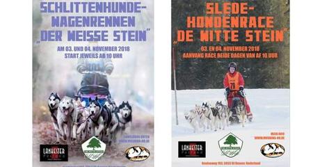 Schlittenhundewagenrennen „De Witte Stein“