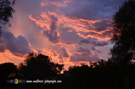 Kalenderblatt | 25.12.2018