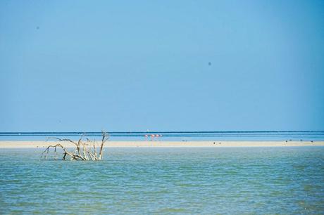 Isla Holbox – das Paradies in Yucatan Mexiko Reisebericht