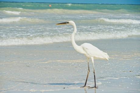 Isla Holbox – das Paradies in Yucatan Mexiko Reisebericht