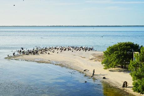Isla Holbox – das Paradies in Yucatan Mexiko Reisebericht