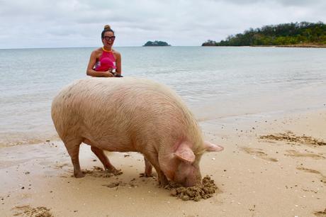 Fidschi Schwimmen mit Schwein Reiseblog ferntastisch Jahresrückblick