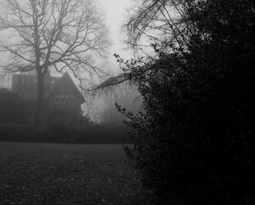 wallpaper-1689754