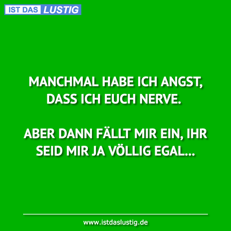 Lustiger BilderSpruch - MANCHMAL HABE ICH ANGST, DASS ICH EUCH NERVE....