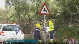 Studie zur Einschränkung des Zugangs zum Hafen von Valldemossa