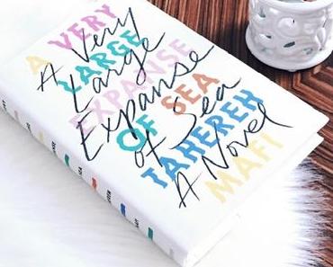 Rezension | „A very large Expanse of Sea“ von Tahereh Mafi