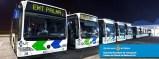 Die EMT-Busse der Linie 3 von Palma fahren bis “Pla de Na Tesa”