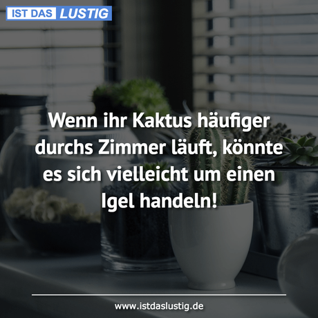 Lustiger BilderSpruch - Wenn ihr Kaktus häufiger durchs Zimmer läuft,...