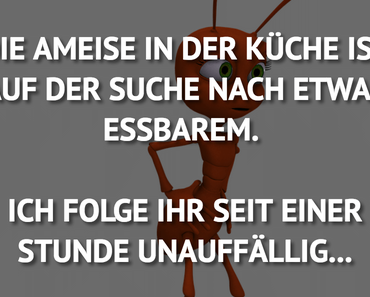 wallpaper-1689754