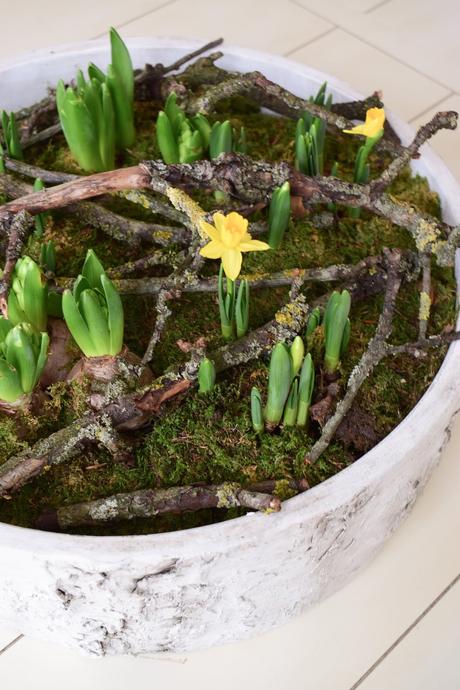 Frühlingsdeko selber machen mit Naturmaterialien: Moos, Frühlingsblüher, Zweige. Dekoidee Frühling Tischdeko natürlich basteln