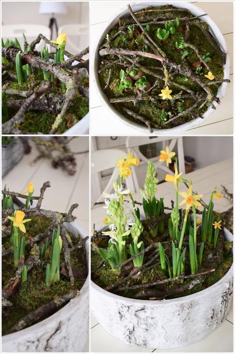 Frühlingsdeko selber machen mit Naturmaterialien: Moos, Frühlingsblüher, Zweige. Dekoidee Frühling Tischdeko natürlich basteln