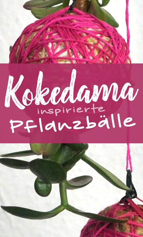 Kokedama-inspirierte Pflanzbälle | Schwatz Katz