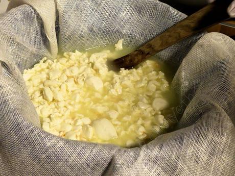 Mozzarella und das komplett selber gemacht. So leicht geht das dann doch! #Käsestolz #Rohmilch #FrBT18