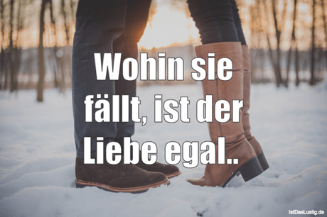 Lustiger BilderSpruch - Wohin sie fällt, ist der Liebe egal.. 