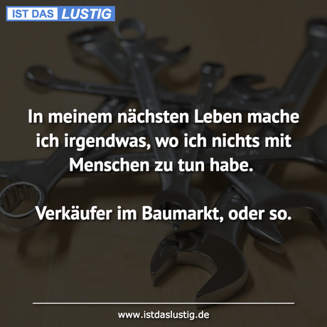 Lustiger BilderSpruch - In meinem nächsten Leben mache ich irgendwas,...