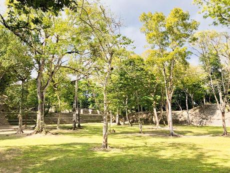 Ruinen, Höhlen und eine lebendige Stadt – San Ignacio Belize