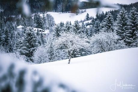Winterimpressionen Ende Jänner 2019 aus Mariazell