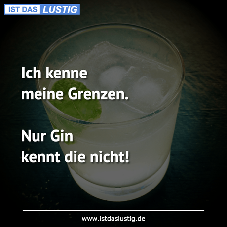 Lustiger BilderSpruch - Ich kenne meine Grenzen.  Nur Gin kennt die nicht!