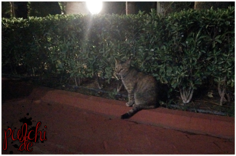 #0861 [On Tour] Türkei September 2016 ~ Part 2