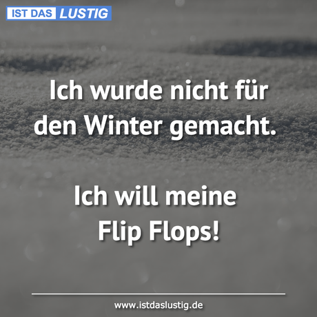 Lustiger BilderSpruch - Ich wurde nicht für den Winter gemacht.  Ich...