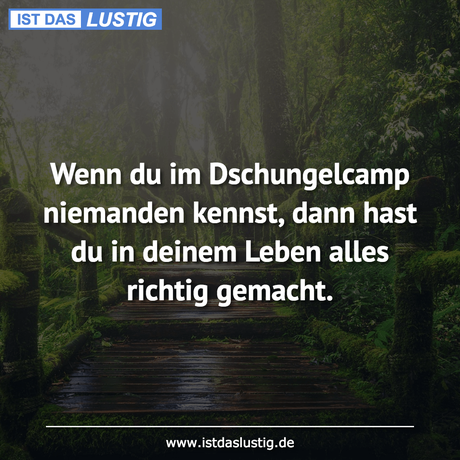 Lustiger BilderSpruch - Wenn du im Dschungelcamp niemanden kennst, dann...