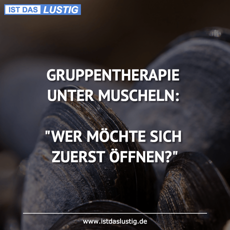 GRUPPENTHERAPIE UNTER MUSCHELN:  