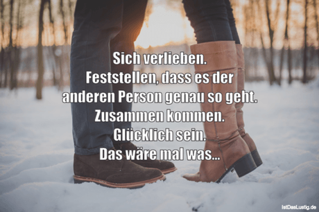 Lustiger BilderSpruch - Sich verlieben. Feststellen, dass es der...