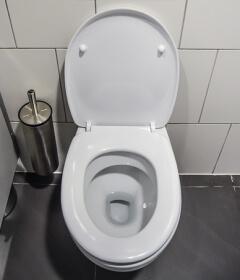 Urinstein im WC entfernen