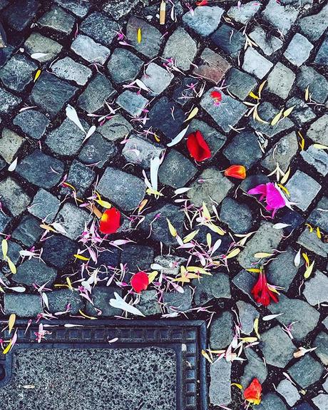 Happy Valentine’s Day..🥀| #berlin #berlinspiriert #blog #blogger #love #lifestyle #berlinlove #berlinlife #igers #igersberlin #igers_berlin #ig_berlin #ig_berlincity #berlin365 #valentine #valentinesday2019 #flowers #for #everyone #flowerstagram