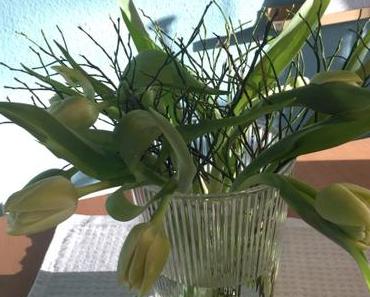 Friday-Flowerday – oder – Die ersten Tulpen