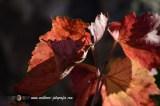 wallpaper-1689754