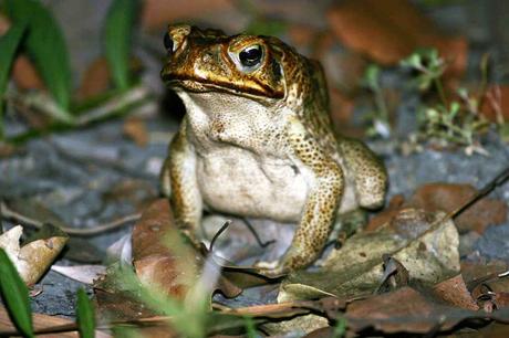 23. August 2004 – Katherine