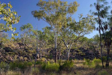 24. August 2004 – Katherine Gorge