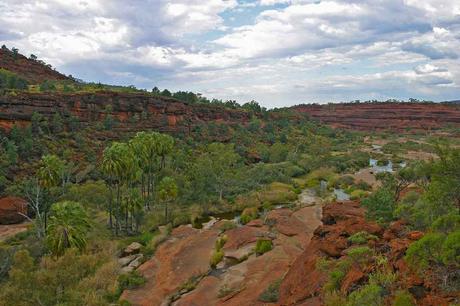 28. August 2004 – Palm Valley
