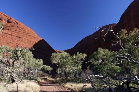 30. August 2004 – Olgas