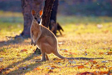 17. August 2004 – Frankfurt