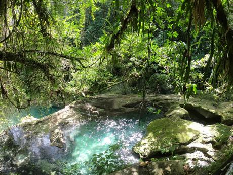 Blaues Wasser im Dschungel