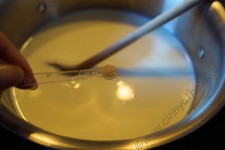 Auch Joghurt selber machen ist kein Problem mehr dank Der Butterer #Joghurtbox #deLuxe #Food