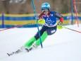 alpine-schuelermeisterschaften-mariazell-c-alois-kislik-9135_res